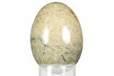 Polished Oligocene Fossil Coral Egg - Philippines #356295-1